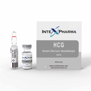 https://britishknightsshop.com/