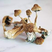 Liberty Caps